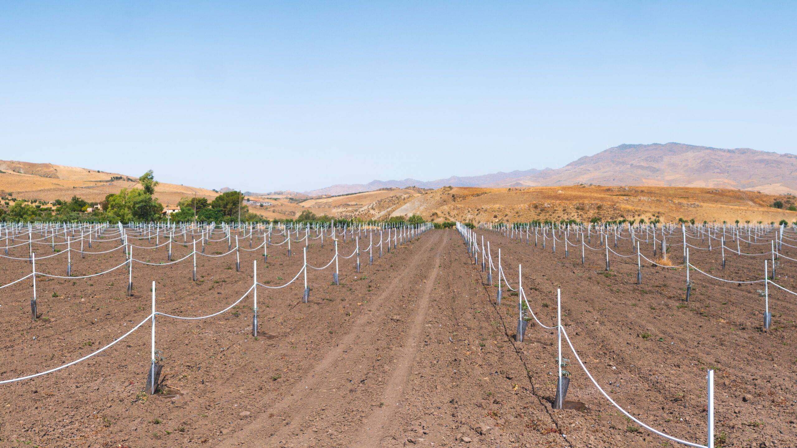 soaplast|soaplast-SWPIPE (1)